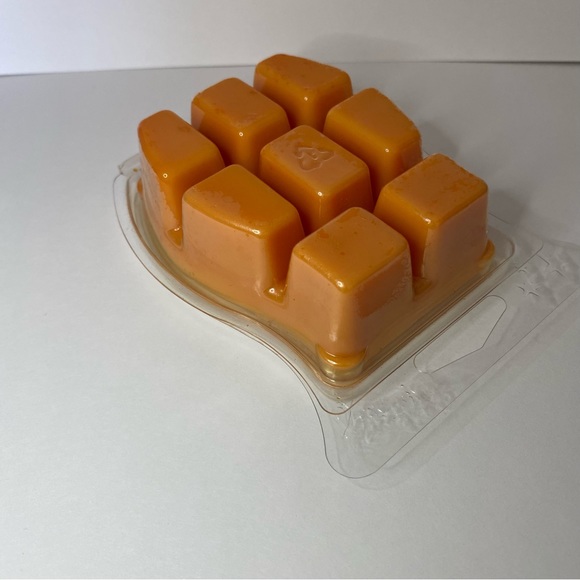 Scentsy Other Scentsy Frosted Ginger Cookie Bar Poshmark
